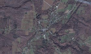Forestville 