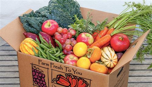 Fresh Veggies
