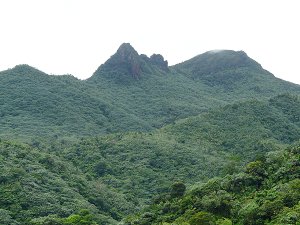 El Yunque