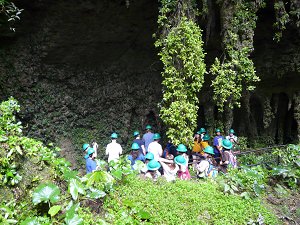 Camuy Caverns