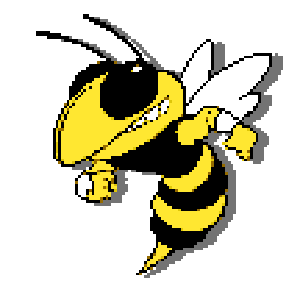 hornet